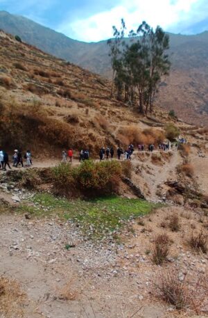 Camino a Rupac